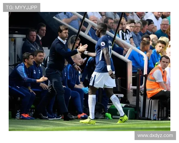 卢顿俱乐部引援计划公布：多名球员加盟，战力大增