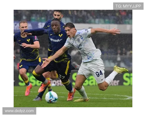 维罗纳足球俱乐部历史辉煌与现状分析探讨