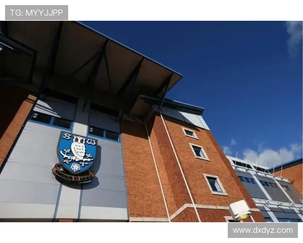 谢菲尔德星期三俱乐部历史发展与球队文化影响力探究