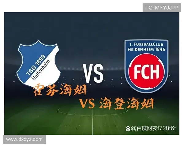 霍芬海姆1899俱乐部成长历程与德甲赛场崛起故事